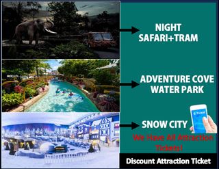 (Category: ) located in . Submitted by discounttickets (Listing ID 1296803673, Image 1). Description: .