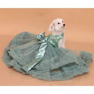 Sage Green Ball Gown/Dress for Dogs