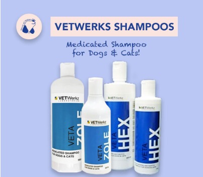 VetWerkz VetaZole Medicated VetaHex Antiseptic Moisturising Shampoo for Dogs Cats 500ml 250ml PT2273 Pet Supplies Health Grooming on Carousell