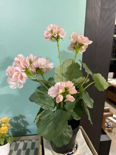 (Category: ) located in . Submitted by flowerpower (Listing ID 1297023020, Image 1). Description: .