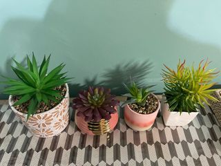 (Category: ) located in . Submitted by flowerpower (Listing ID 1297022263, Image 1). Description: .