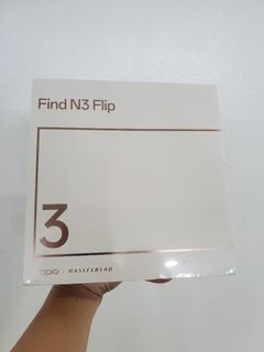 Find N3 Flip