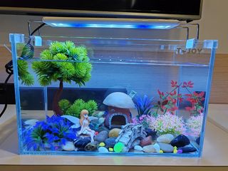 Fish tank set, Pet Supplies, Homes & Other Pet Accessories on