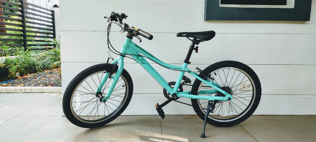 For Sale Liv Enchant 20 Lite Kids Girls Bike Sports Equipment Bicycles Parts Bicycles on Carousell