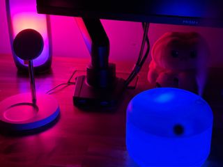 (Category: ) located in . Submitted by __88888______ (Listing ID 1297023372, Image 1). Description: .