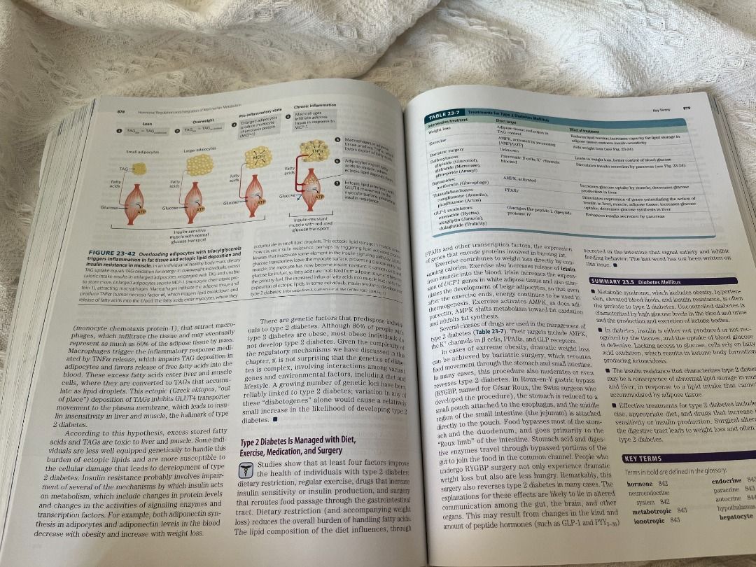 Lehninger Principles of Biochemistry 8th Edition, 書籍、休閒與玩具, 書本及雜誌, 教科書 ...