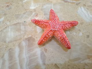 (Category: ) located in . Submitted by beachonestop (Listing ID 1296987082, Image 1). Description: .