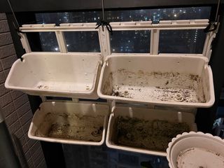 （分類：）位於 。 由 fishnetshop99 提交（商品編號 1297162494，圖片 1）。簡介： 。
