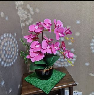 (Category: ) located in . Submitted by hoppi123 (Listing ID 1297214791, Image 1). Description: .