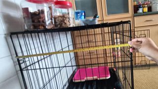 (Category: ) located in . Submitted by don75 (Listing ID 1297071500, Image 1). Description: .