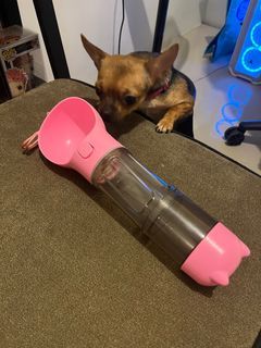 Pet food and water bottle