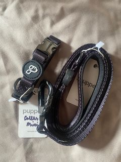 Pupper.ph mini dog leash & collar in black