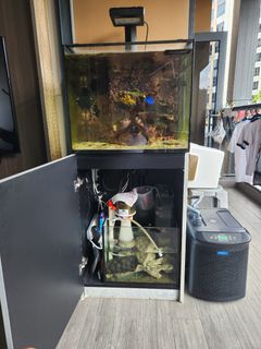 (Category: ) located in . Submitted by kjh1981 (Listing ID 1297193094, Image 1). Description: .