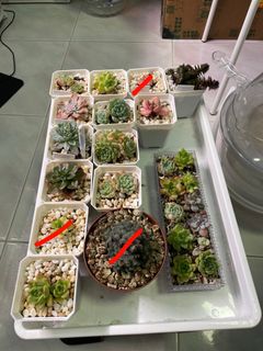 (Category: ) located in . Submitted by injenious (Listing ID 1295549759, Image 1). Description: .