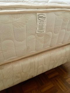 Ortho Bed mattress with topper single spring bed dewfoam -Bottom box included