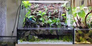 (Category: ) located in . Submitted by philip9899 (Listing ID 1297241563, Image 1). Description: .