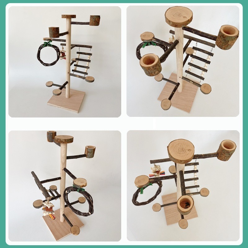 Parrot Stand Desktop Interactive | Feeding Parrot Toy | Wooden Parrot ...