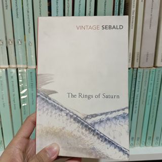 The Rings of Saturn by W. G. Sebald (Vintage Classics Edition)