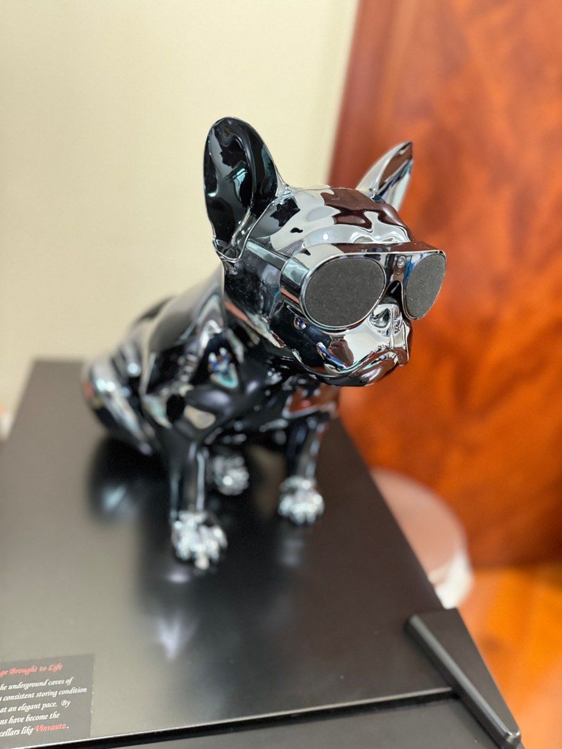 Bluetooth Speaker Aerobull Speaker Xs1 Altavoces Jarre AeroBull