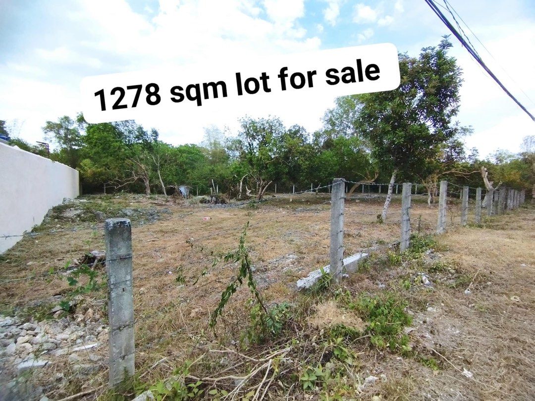 COMMERCIAL/ RESIDENTIAL LOT FOR SALE LOCATED IN DAO, DAUIS, PANGLAO
