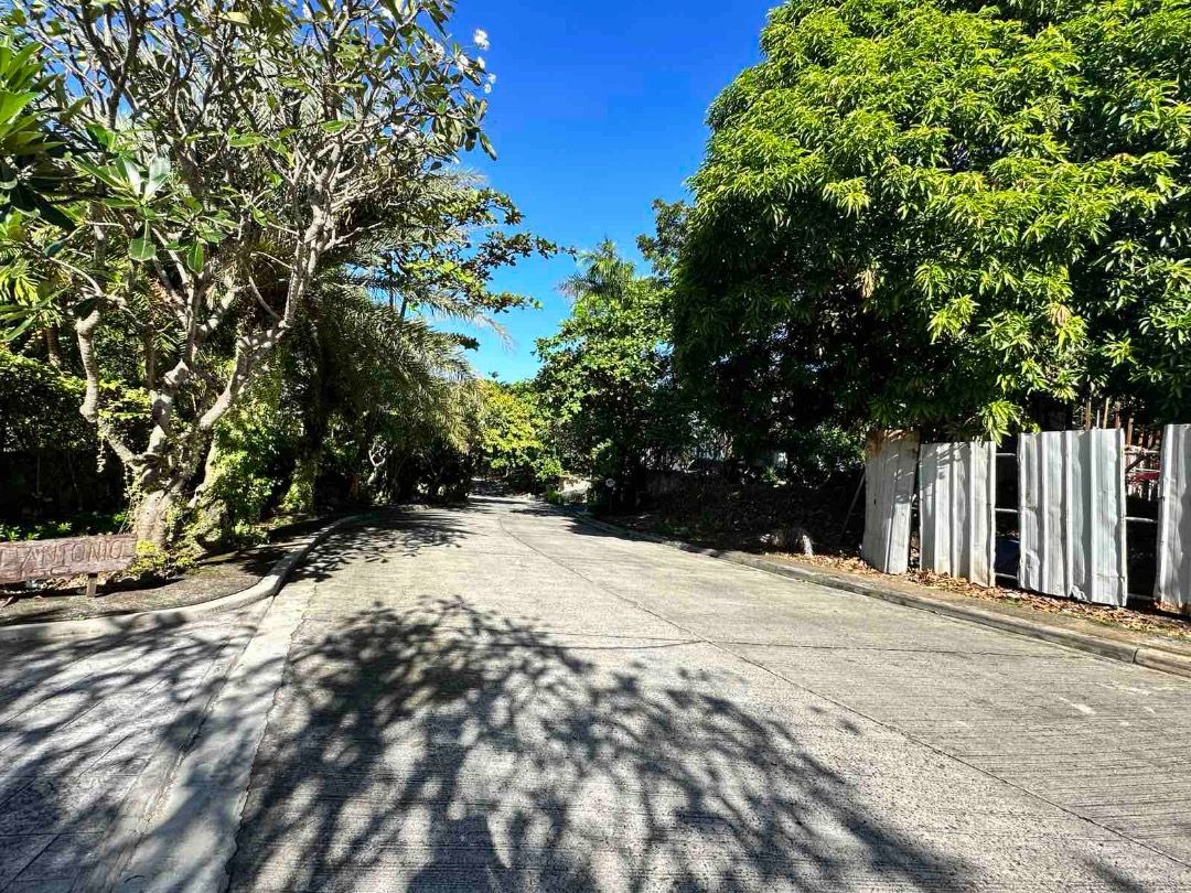 For Sale Residential Beach Lot in Peninsula de Punta Fuego, Batangas ...