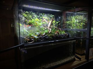 (Category: ) located in . Submitted by Fortune_Green_Design (Listing ID 1297483067, Image 1). Description: .