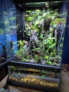 (Category: ) located in . Submitted by Fortune_Green_Design (Listing ID 1297483208, Image 1). Description: .