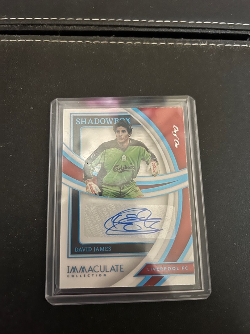 バチュアイ PANINI ボロい immaculate 1/1