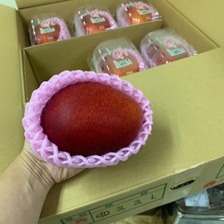 （分類：）位於 。 由 lionfruithk 提交（商品編號 1301005653，圖片 1）。簡介： 。