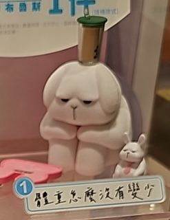 （分類：）位於 。 由 Sandyyyy.H 提交（商品編號 1300997097，圖片 1）。簡介： 。