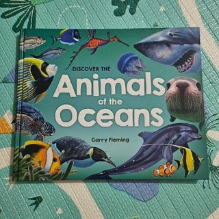 Big Board Book: Discover the Animals of the Ocean