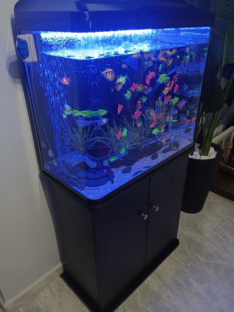 Fish tank supplies for sale clearance