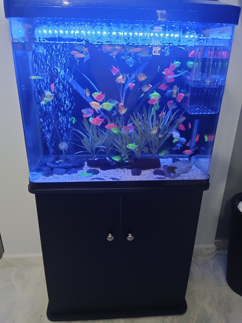 Fish tank for sale