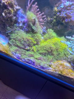 (Category: ) located in . Submitted by packedfudge (Listing ID 1301051226, Image 1). Description: .