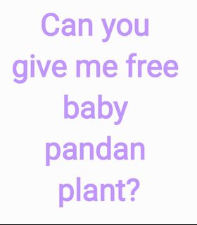 (Category: ) located in . Submitted by wenlee88 (Listing ID 1301032310, Image 1). Description: .