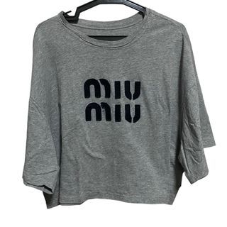 Miu Miu Gray Cropped Top