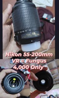 Nikon 55-200mm VR Zoom Lens  Fungus