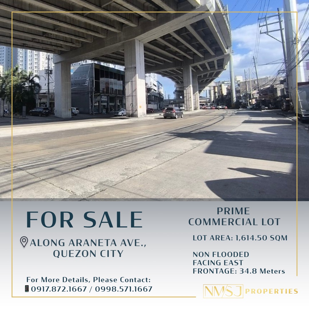 Prime Commercial Lot For Sale along Avenue Quezon City near