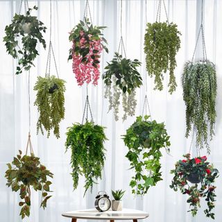(Category: ) located in . Submitted by altonflowerscomm (Listing ID 1135689187, Image 1). Description: .