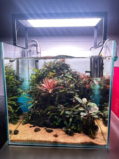 (Category: ) located in . Submitted by adproduction (Listing ID 1302623319, Image 1). Description: .
