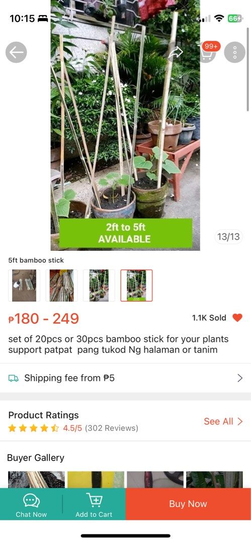 Bamboo slats stick support stand for plants 30 pcs 5ft (Category: Pots & Planters) located in Paranaque City. Submitted by shopowned (Listing ID 1302682483, Image 2). Description: Bought for 249 plus shipping. Selling it for the price i got it. RFS was for a school project but the project got cancelled MOP GCASH MOD LALAMOVE OR GGX .