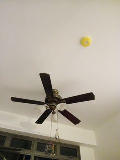 (Category: ) located in . Submitted by xm3ka2x (Listing ID 1302688792, Image 1). Description: .