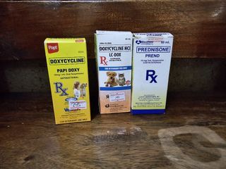 Dog Medicines for Dogs; for parasitism