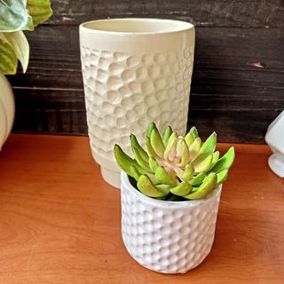 Faux succulent and dimpled glazed stoneware vase
