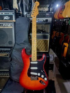 Fender player stratocaster mim