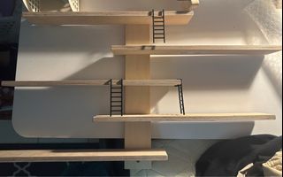 (Category: ) located in . Submitted by eatingbiskut (Listing ID 1302670609, Image 1). Description: .