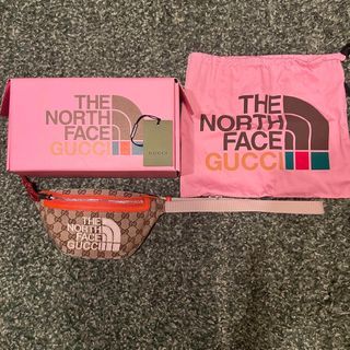 GUCCI x THE NORTH FACE belt bag