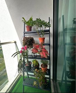(Category: ) located in . Submitted by farahyussof (Listing ID 1302580690, Image 1). Description: .