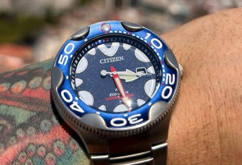 Lowest Price Citizen Promaster Eco Drive Orca Men s Blue Dial Stainless Steel Watch Birthday gift birthday citizen BRAND NEW IN BOX WITH 1 YEAR