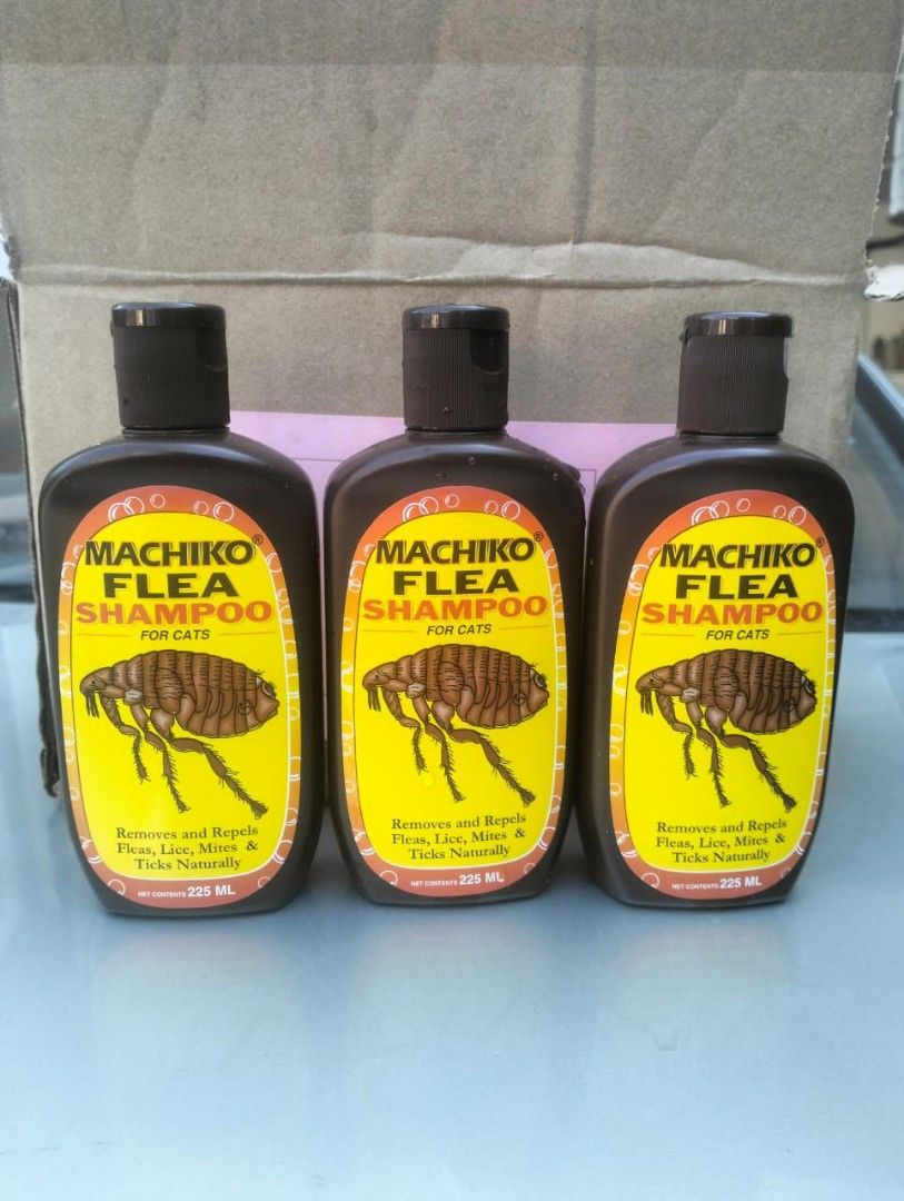 Shampoo kutu Machiko Flea Pet Supplies Homes Other Pet Accessories on Carousell